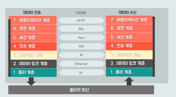 네트워크 계층 동작